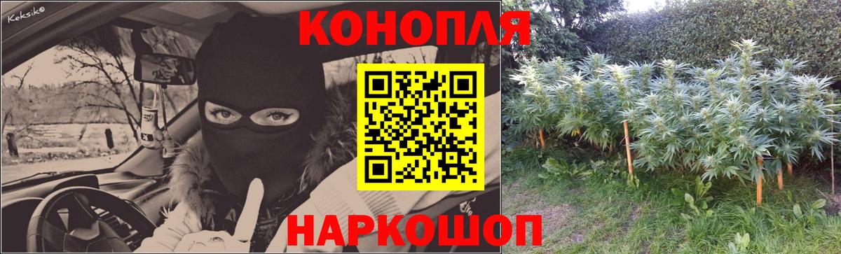 Бошки Шишки ГИДРОПОН  Вход с VPN  Марихуана AK-47  Сланцы  Марихуана AK-47 